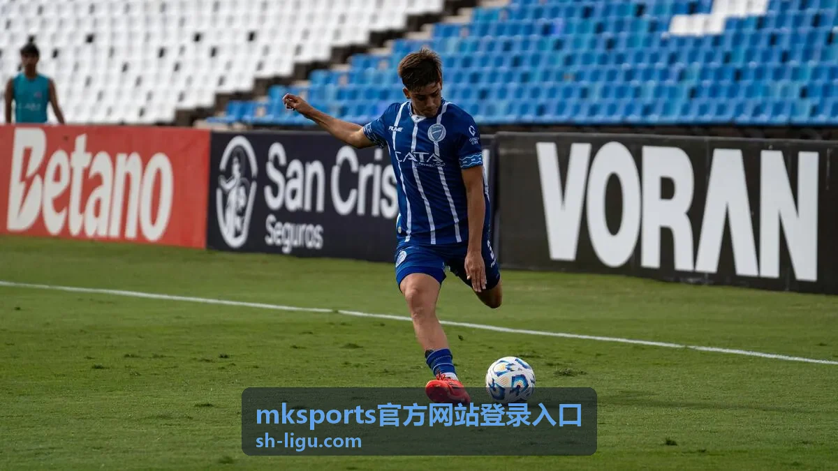 mksports官方网站登录入口登录步骤核对流程配图