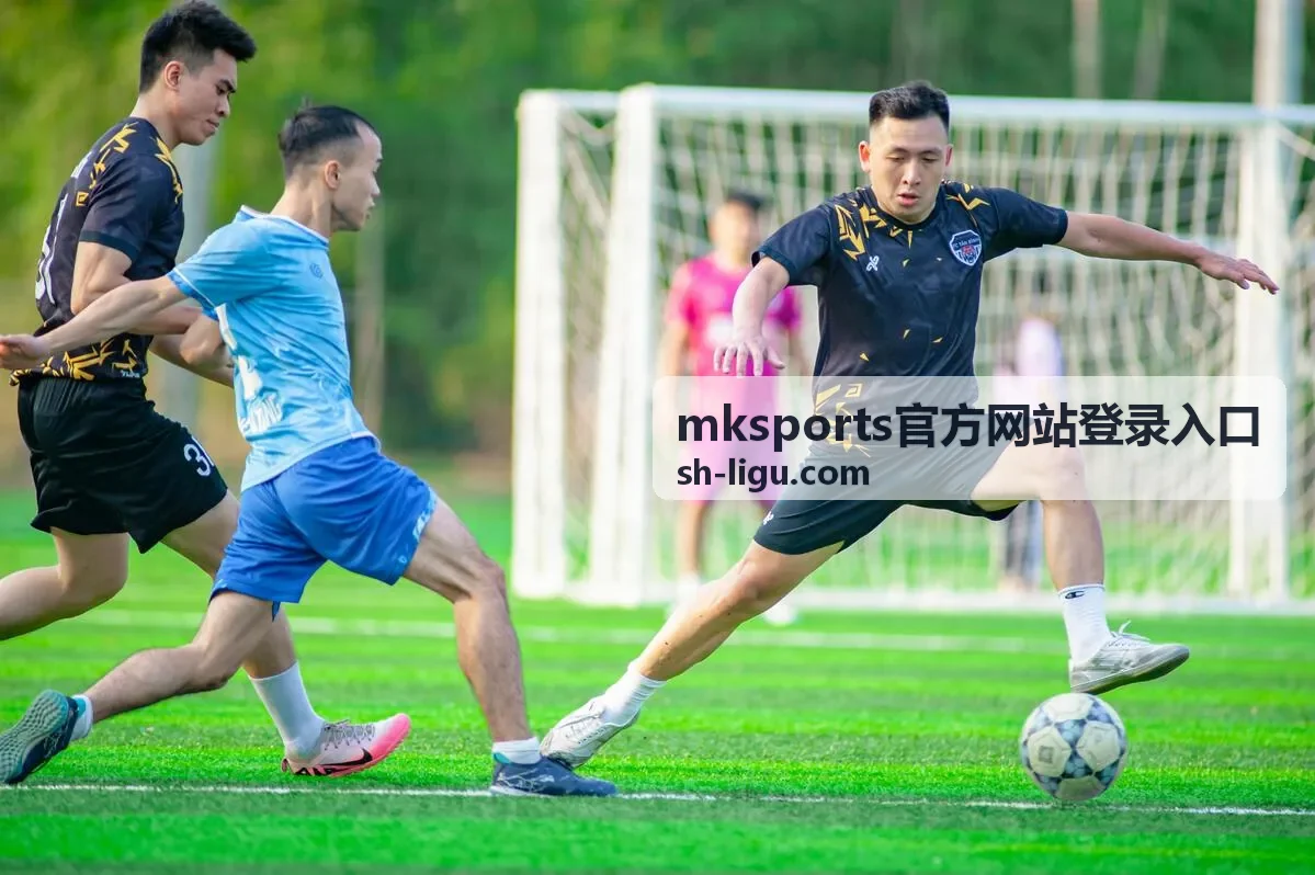 mksports官方网站登录入口入口核对与登录流程配图