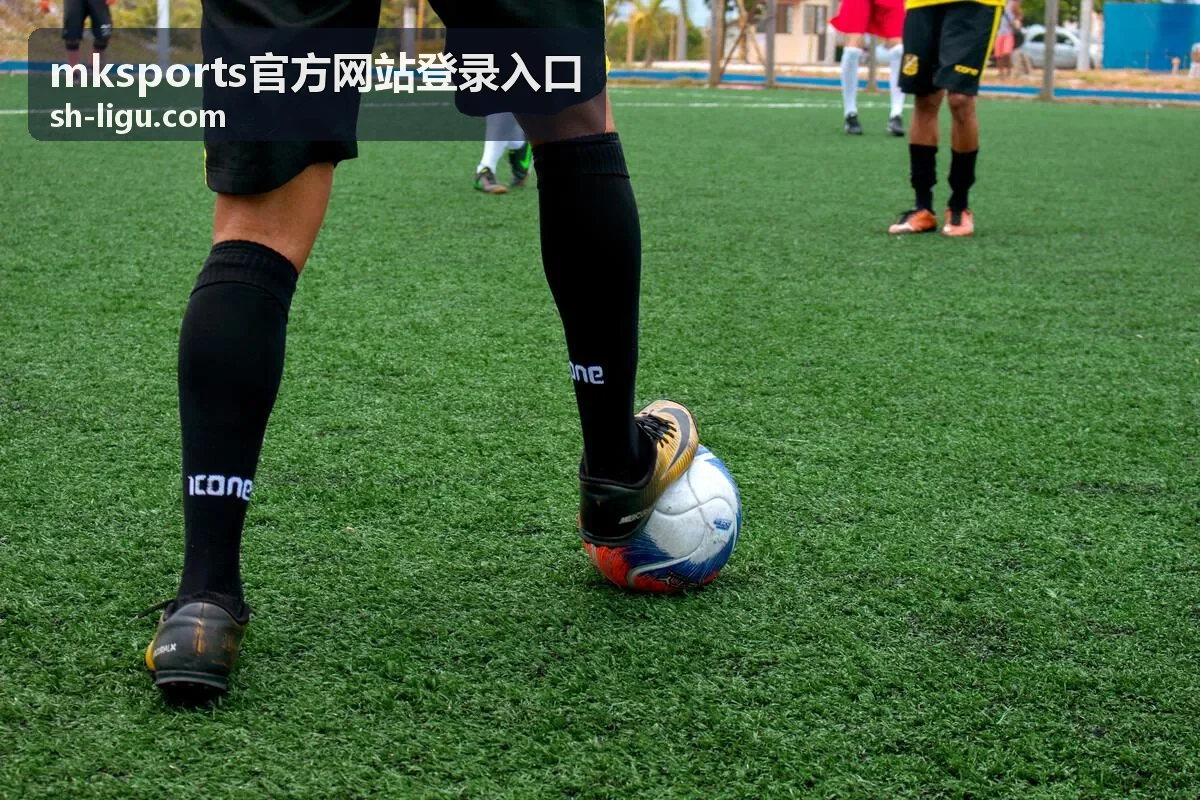 mksports官方网站登录入口在线支持提交问题配图